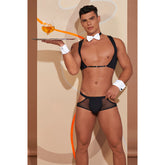Sexy Falkor Waiter Costume - Men's Fantasy Roleplay Outfit for Halloween